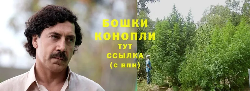 Бошки Шишки THC 21%  Мензелинск 